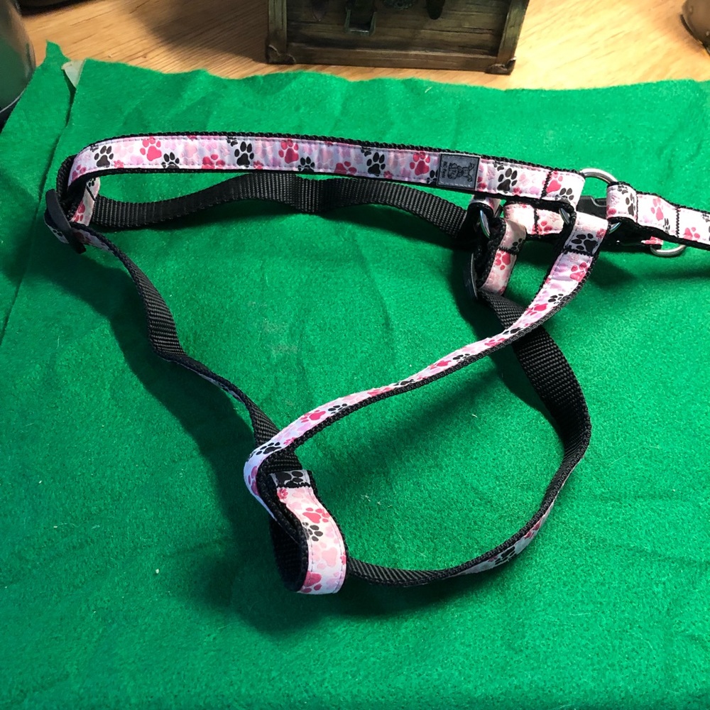 Harness
